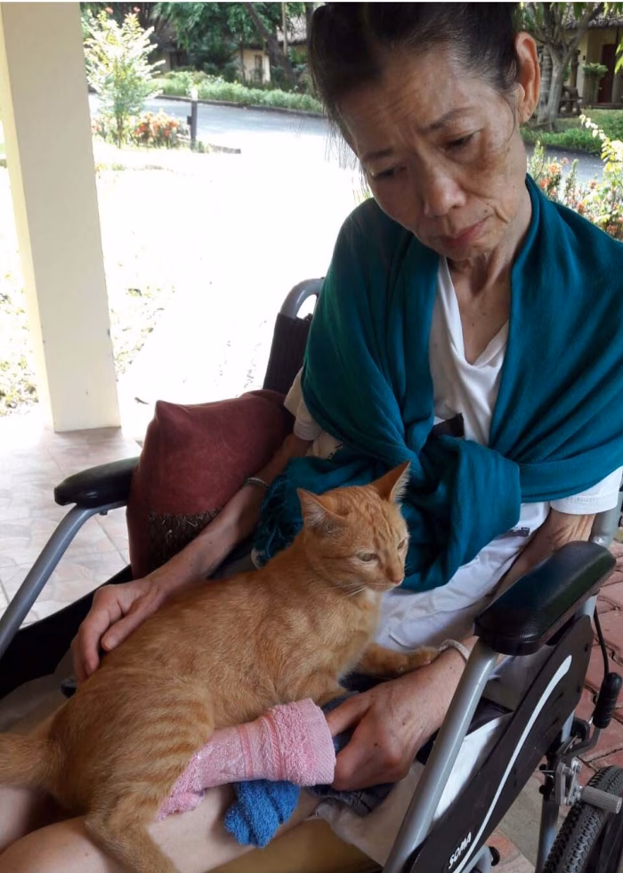 A resident with a cat on her lap.