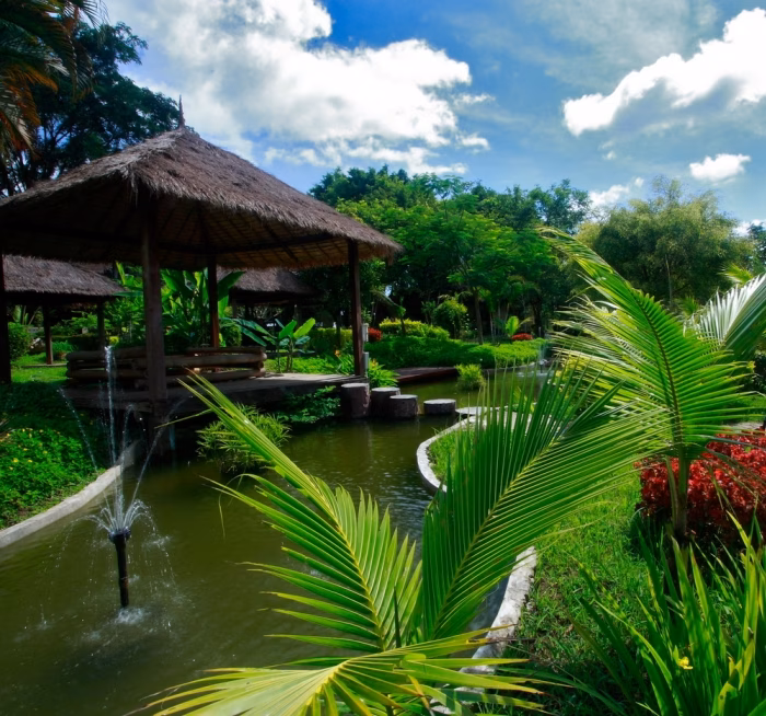 Garden pond with a thatched pavilion.