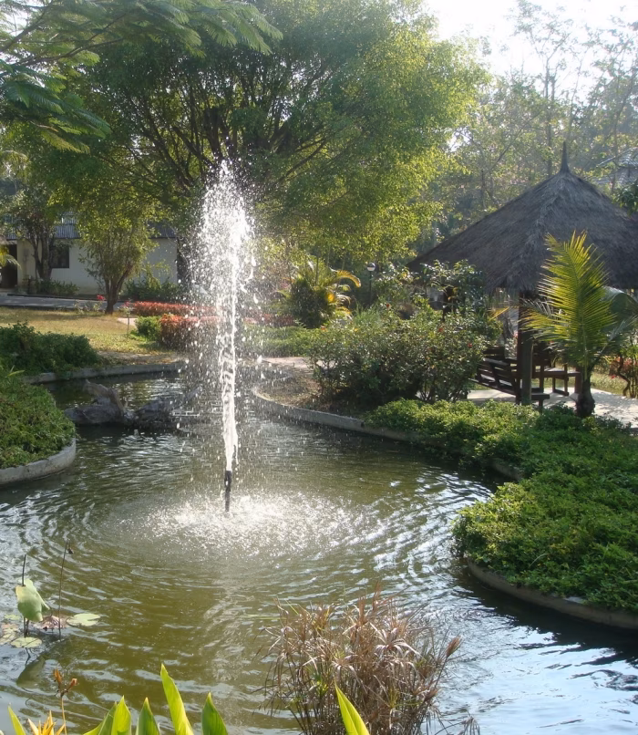 Fountain in the garden pond.