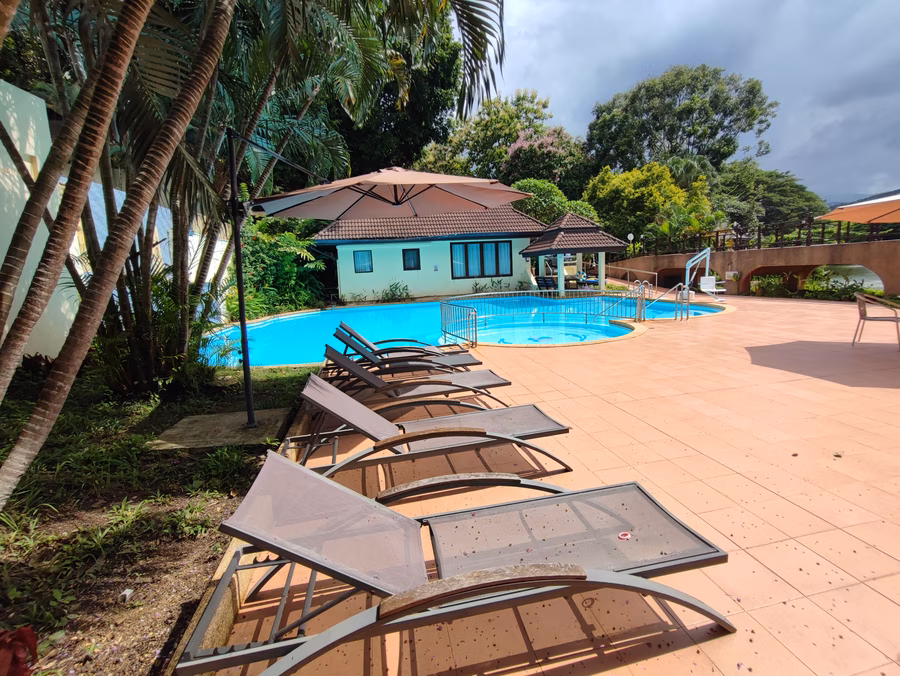 Pool 2, sun loungers, second view.