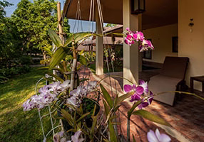 A resident resting in a chair on his own shaded terrace, looking out at the garden.